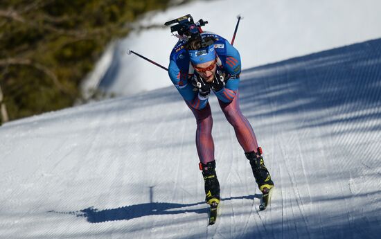 Biathlon World Championships. Men's mass start