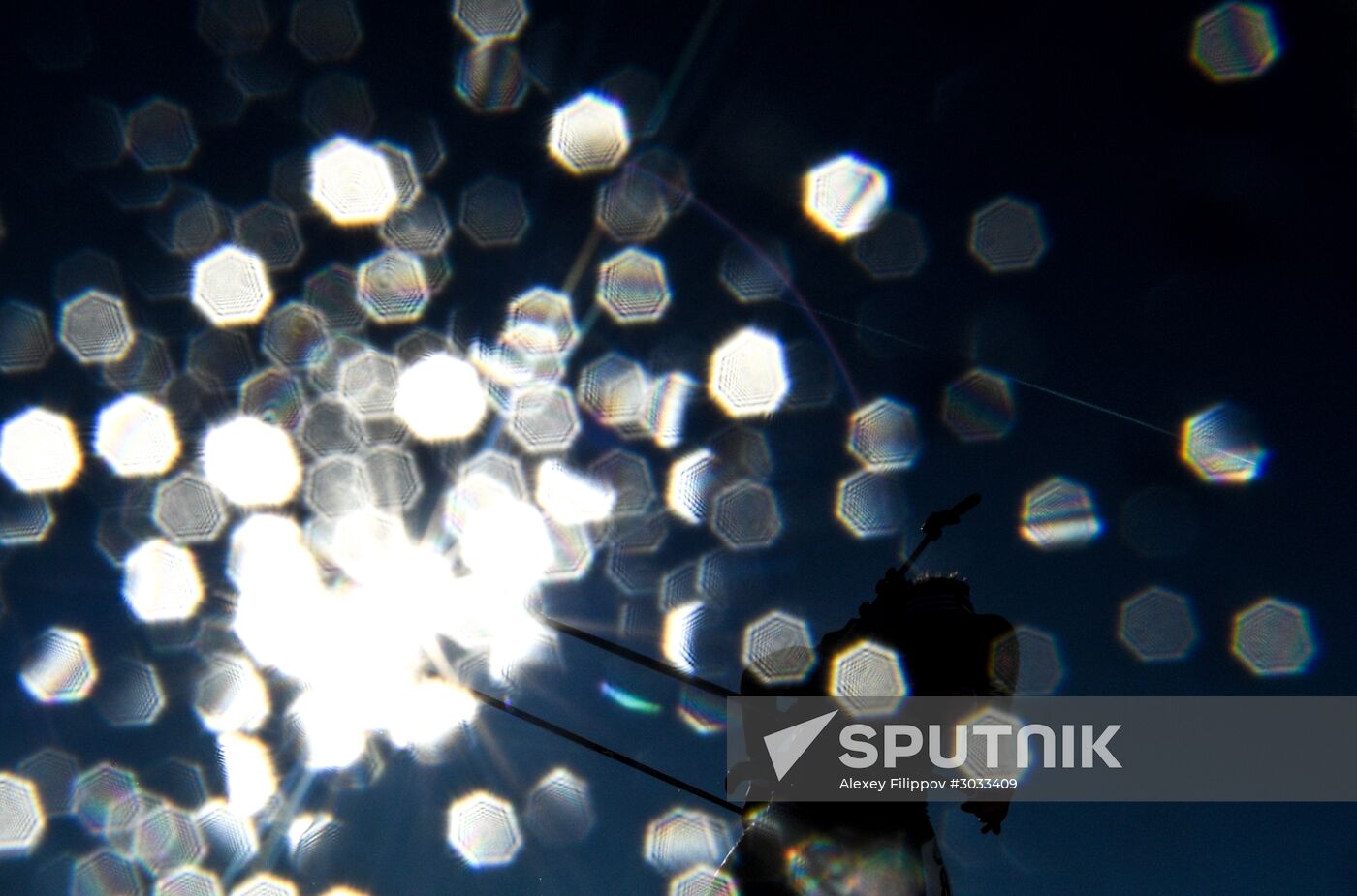 Biathlon World Championships. Men's mass start