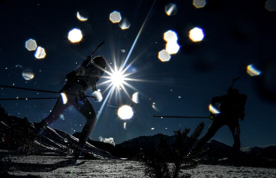 Biathlon World Championships. Men's mass start