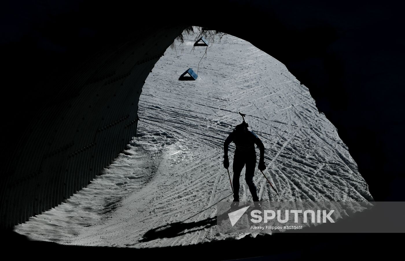 Biathlon World Championships. Men's mass start