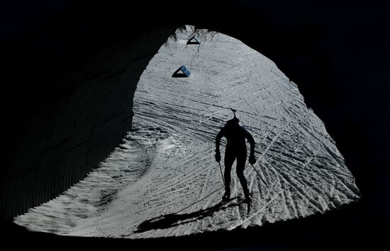 Biathlon World Championships. Men's mass start