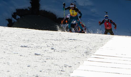 Biathlon World Championships. Men's mass start