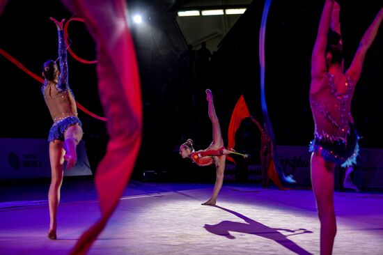 Rhythmic gymnastics. Moscow Grand Prix. Gala concert