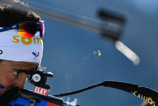 Biathlon World Championships. Men's mass start