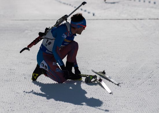 Biathlon World Championships. Men's mass start