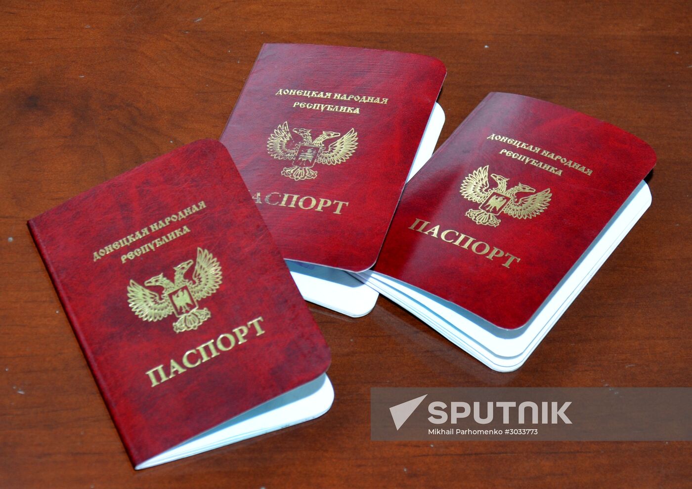 DPR and LPR passports