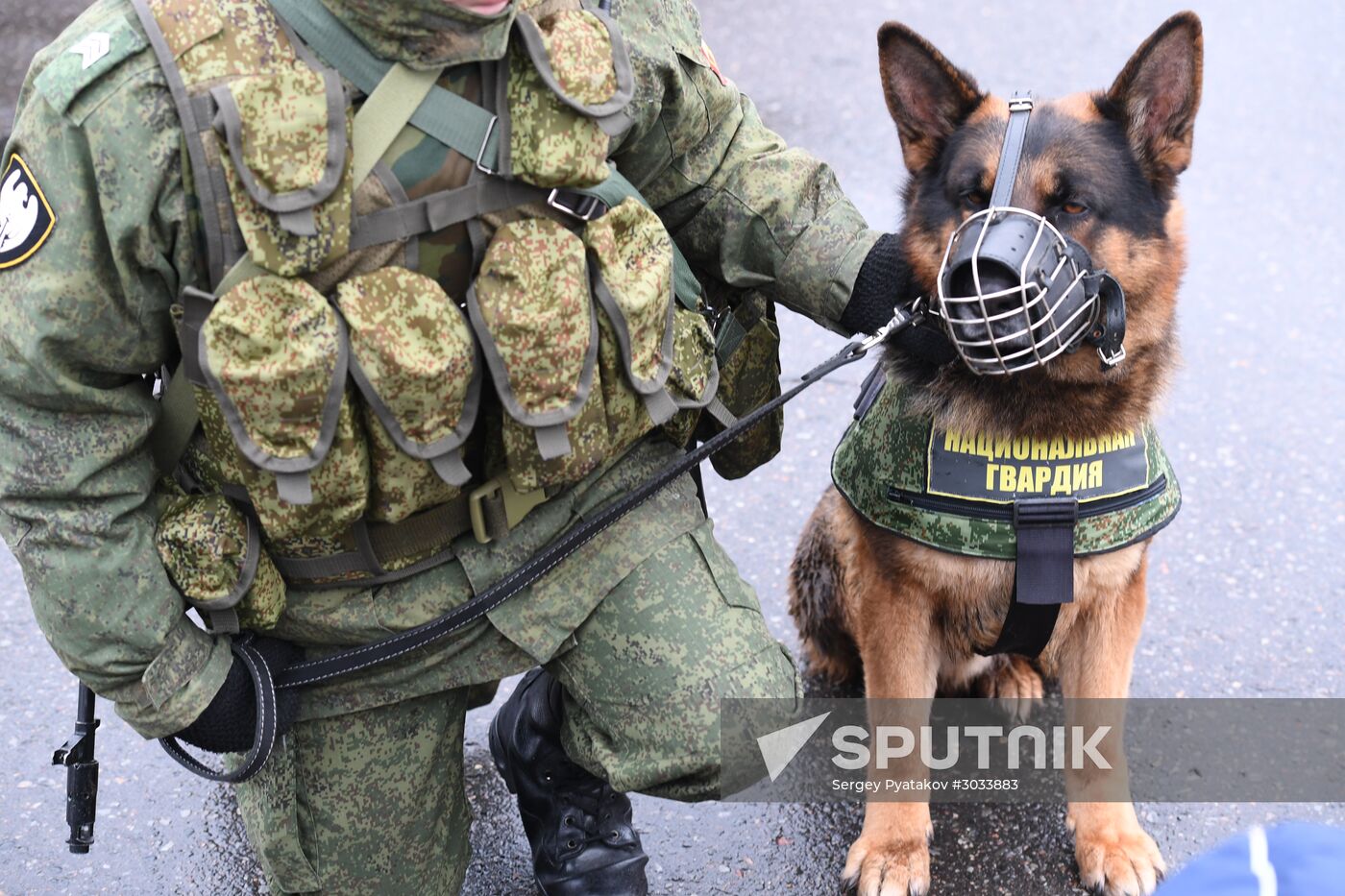 Military training course marking Defender of the Fatherland Day