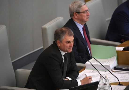 Plenary meeting of the State Duma of the Russian Federation