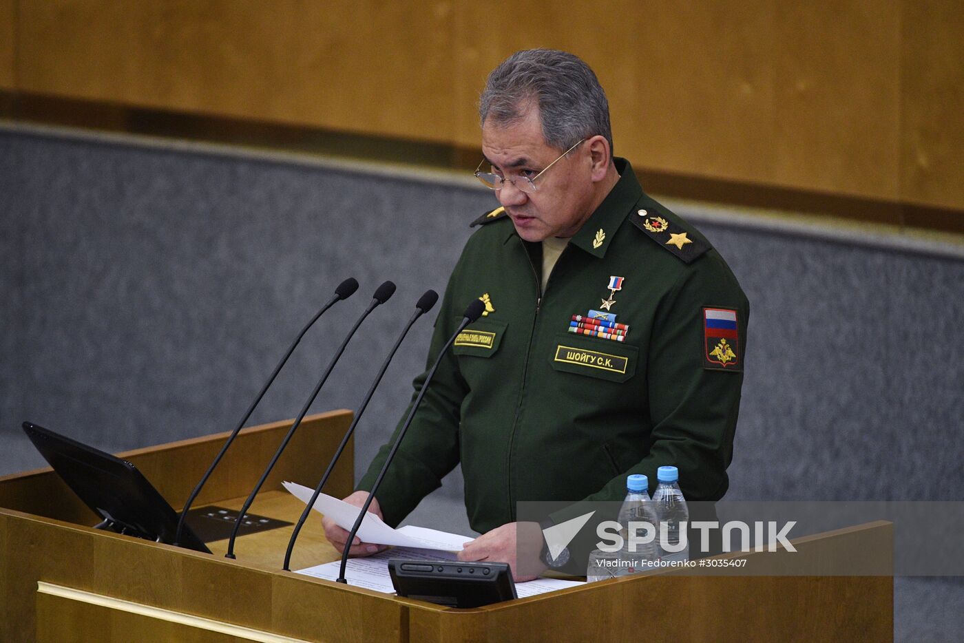 Plenary meeting of the State Duma of the Russian Federation
