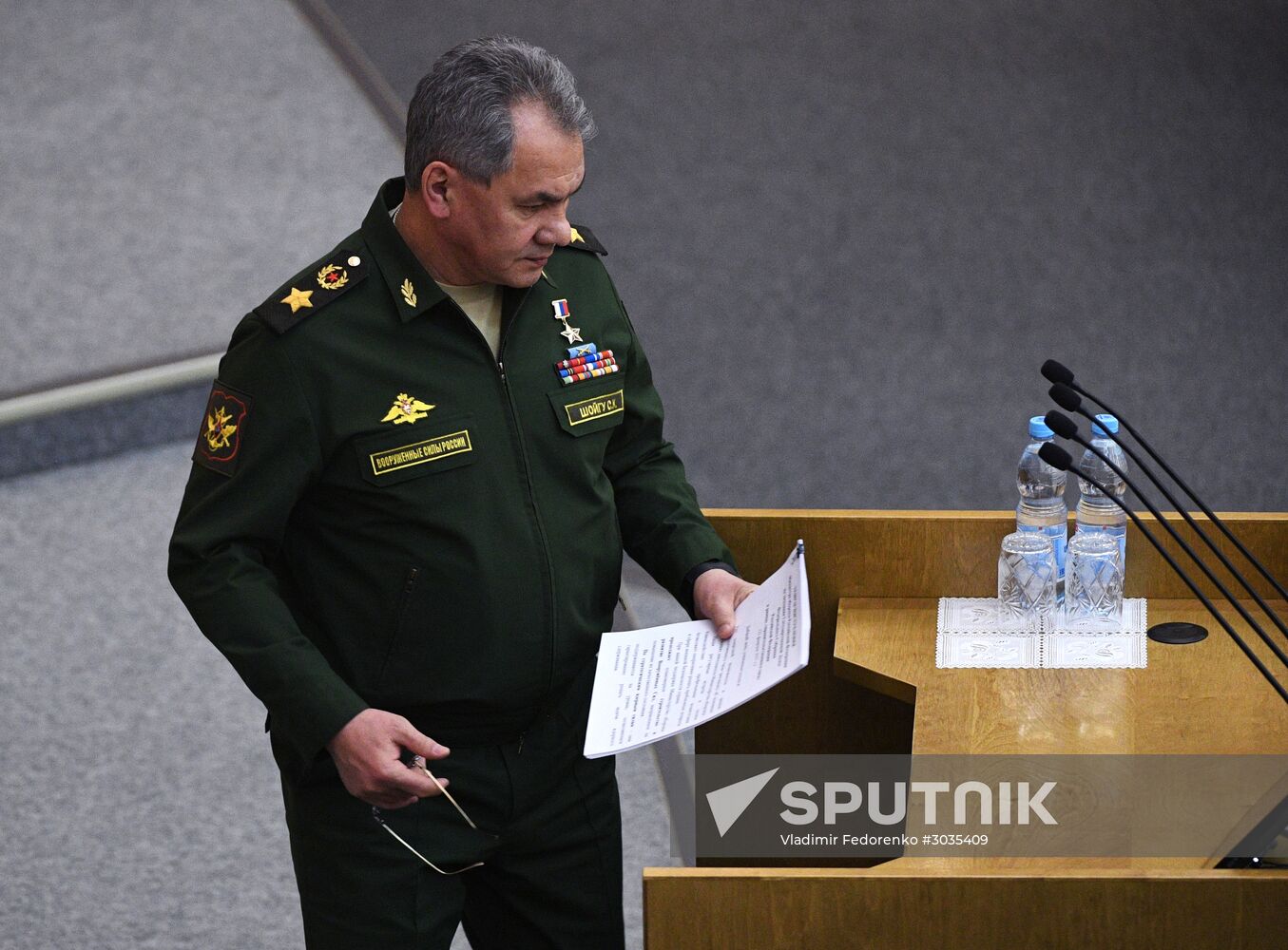 Plenary meeting of the State Duma of the Russian Federation