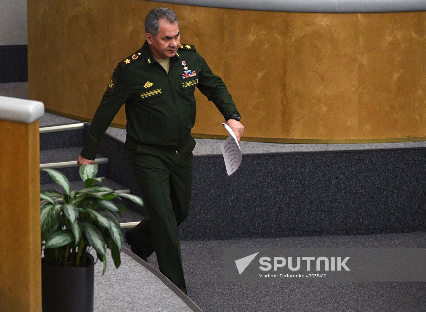 Plenary meeting of the State Duma of the Russian Federation