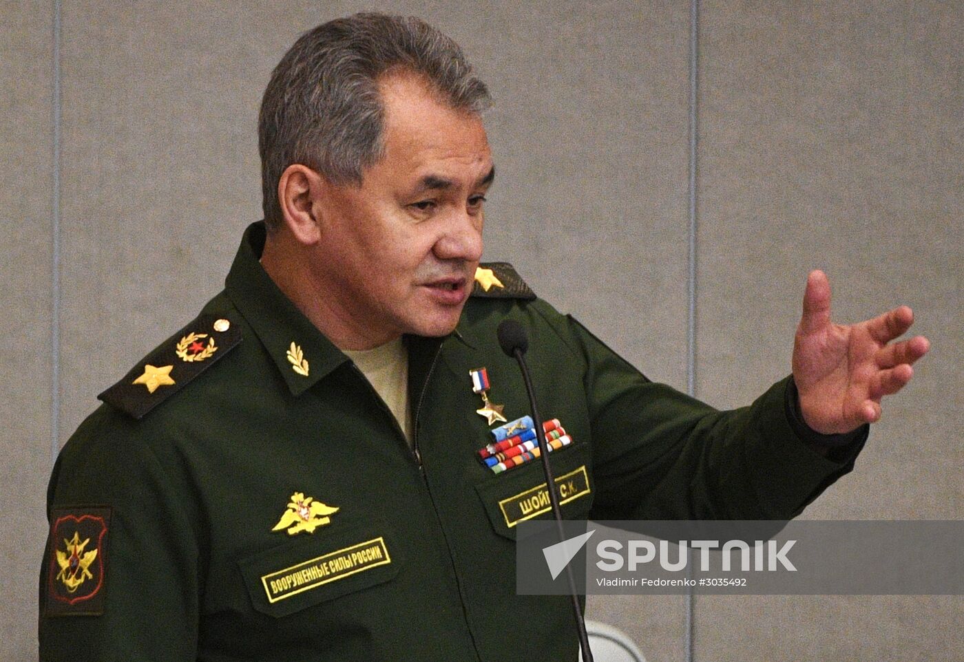 Plenary meeting of the State Duma of the Russian Federation