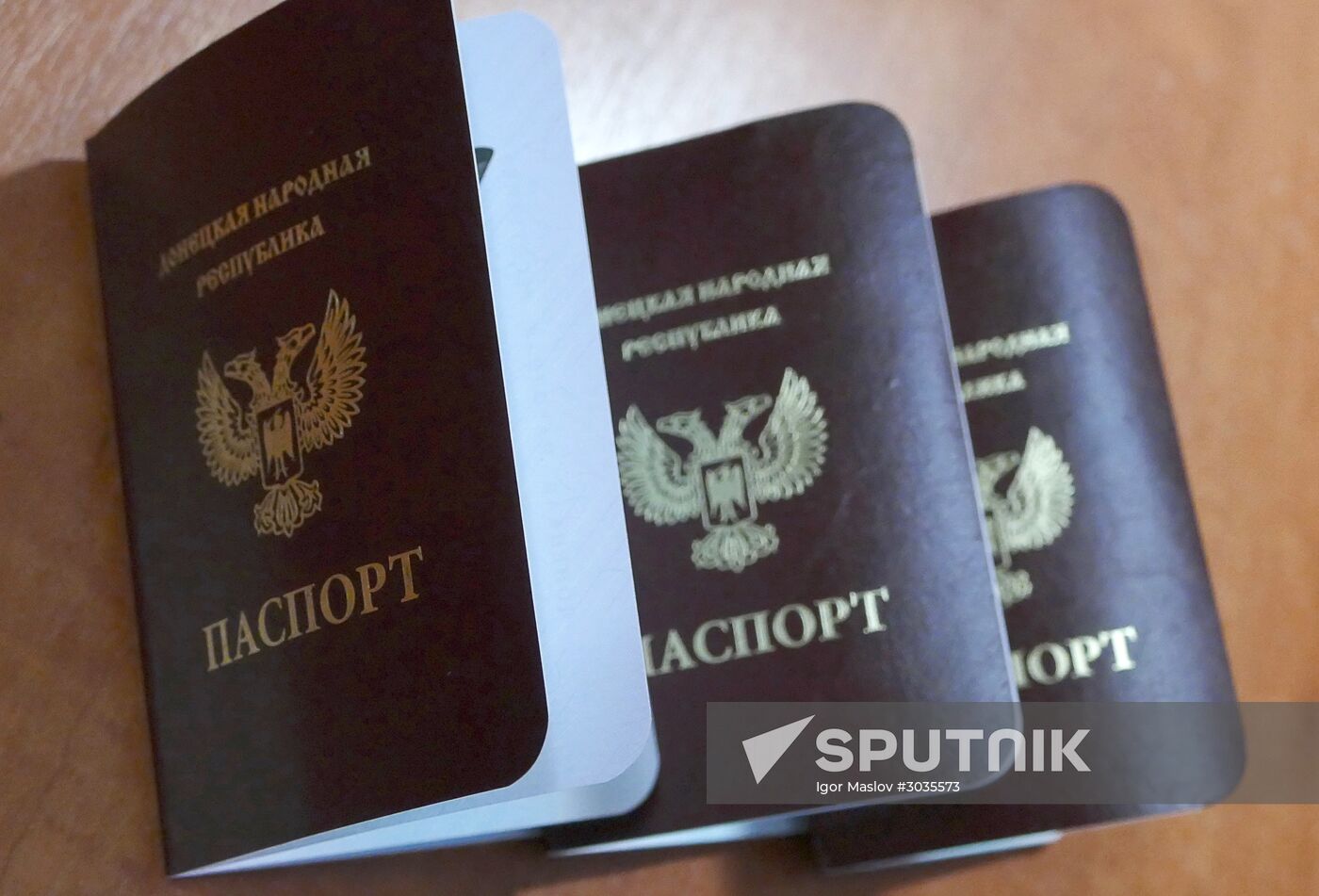 DPR passports are issued