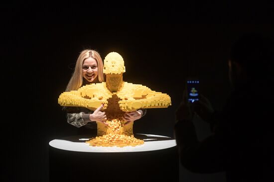 Exhibition "LEGO Art"