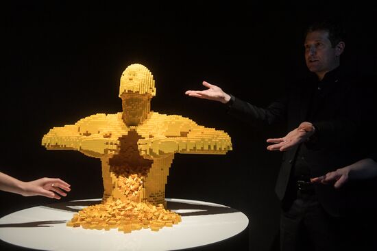 Exhibition "LEGO Art"