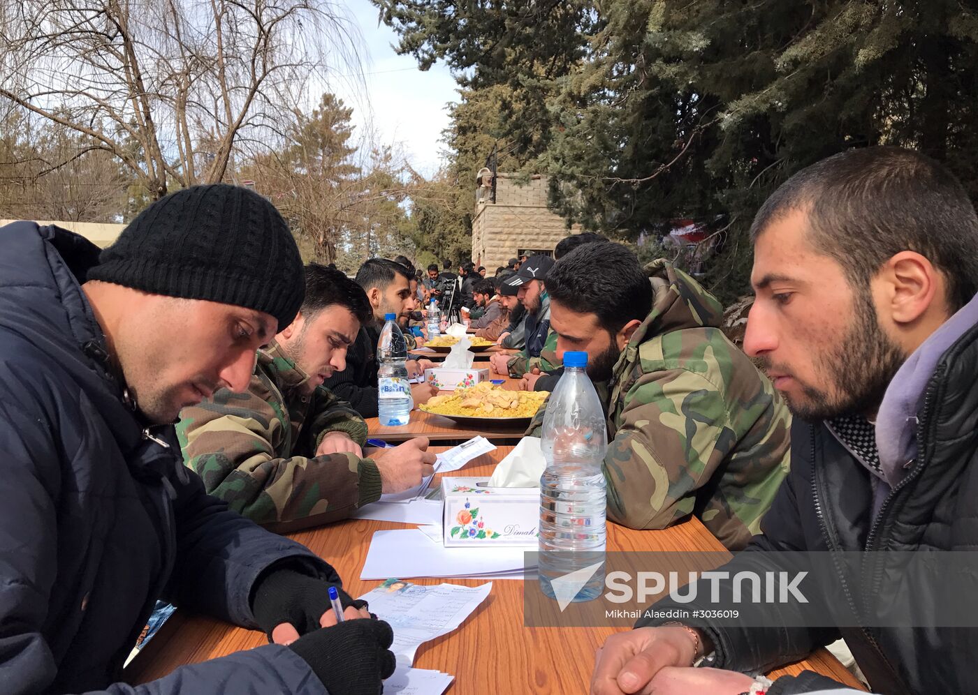 Syrian army regains control of Serghaya town near Damascus
