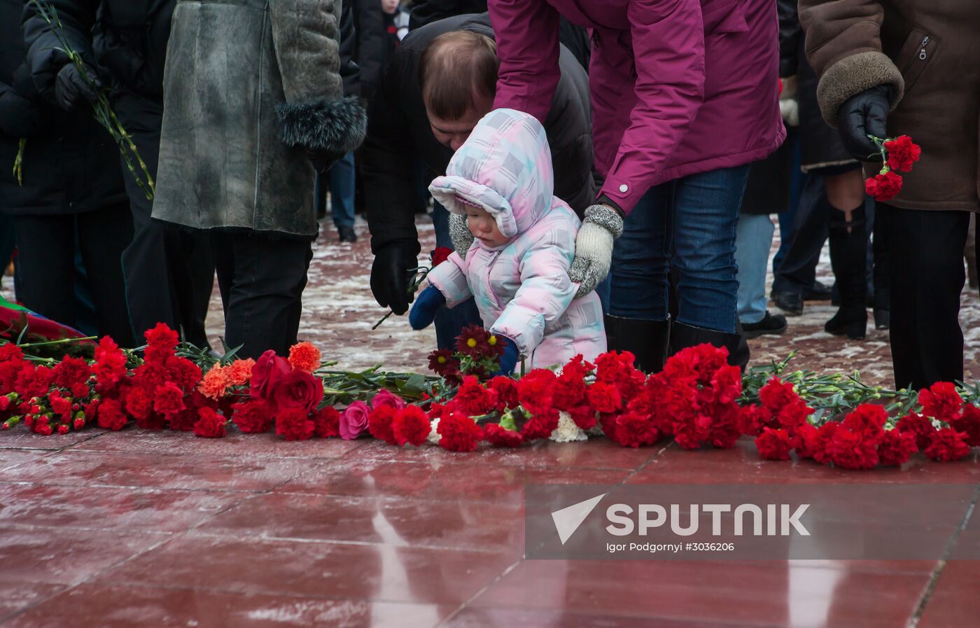Defender of the Fatherland Day celebrated in Russian cities