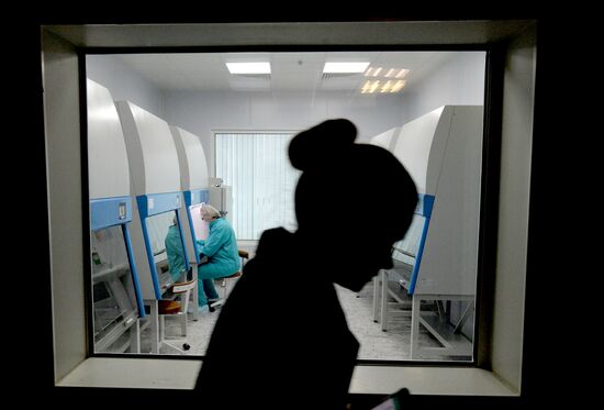 Planar factory in Minsk