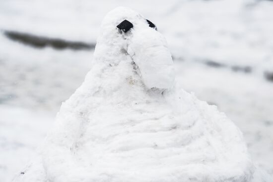 Internet meme Zhdun made of snow in Moscow