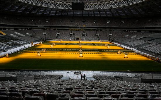 Luzhniki Arena renovation