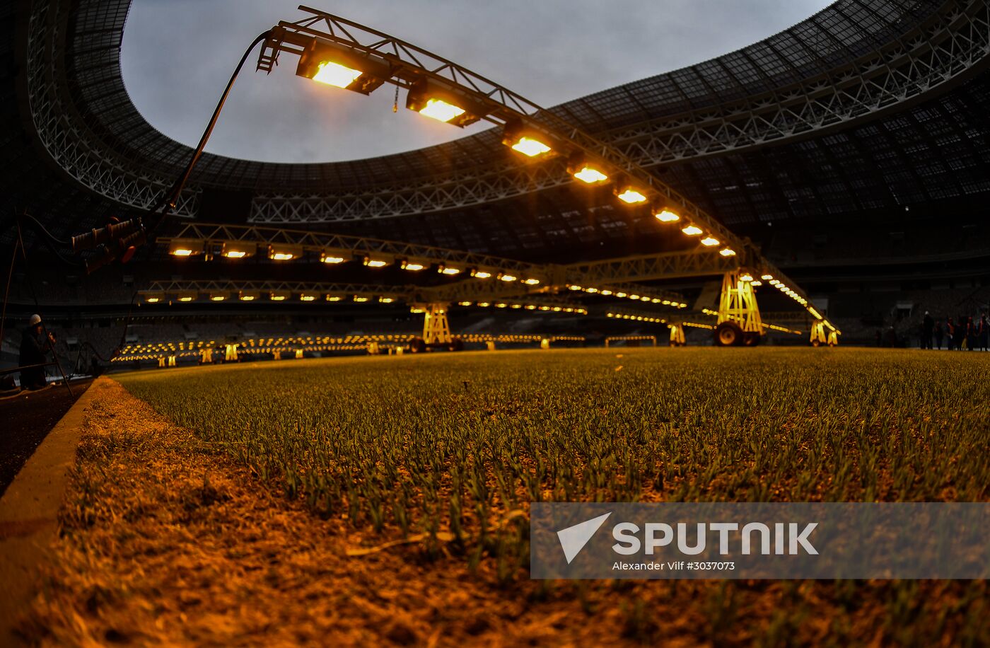 Luzhniki Arena renovation