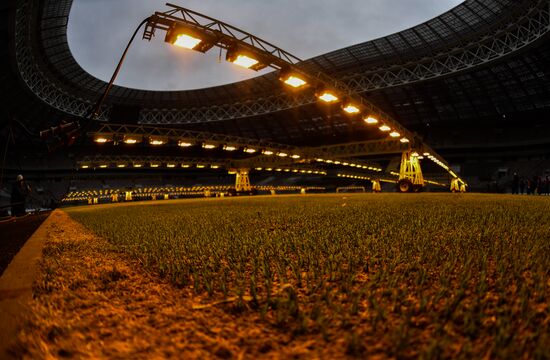 Luzhniki Arena renovation
