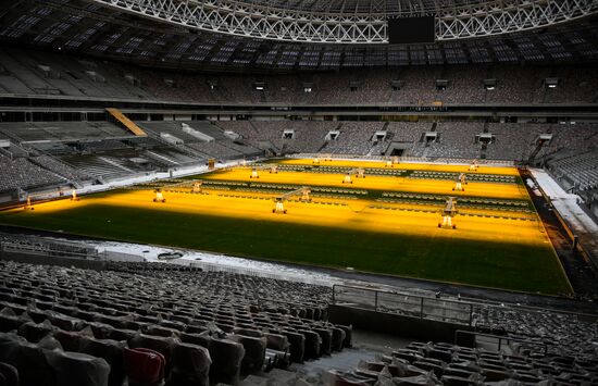 Luzhniki Arena renovation