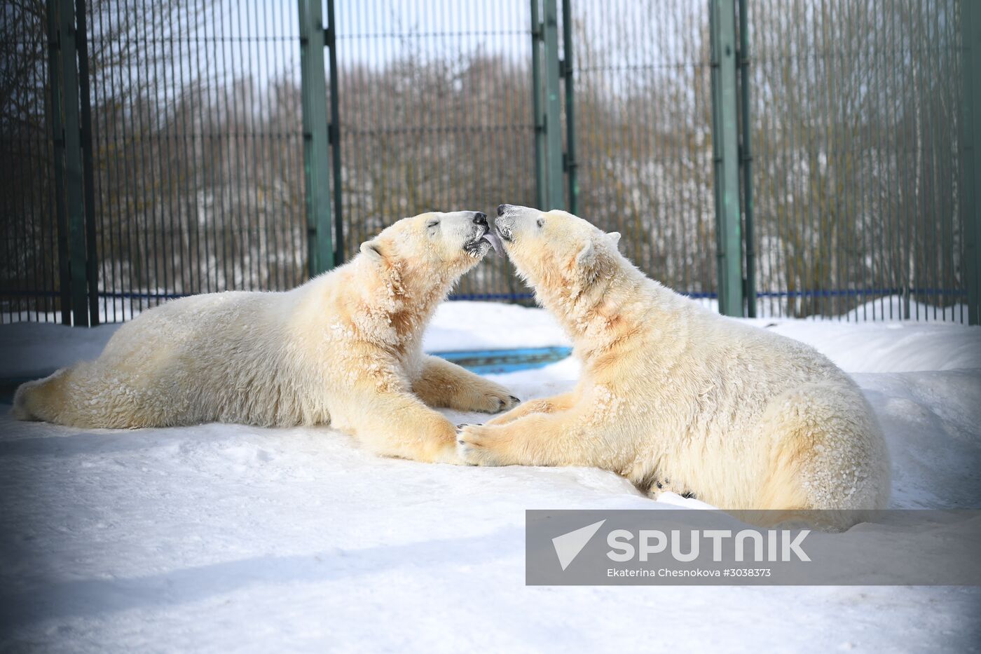 Moscow Zoo holds visiting tour