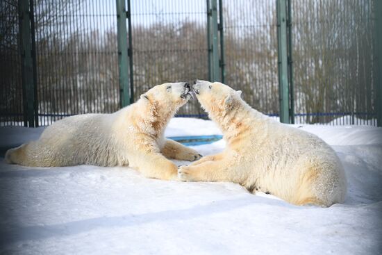 Moscow Zoo holds visiting tour