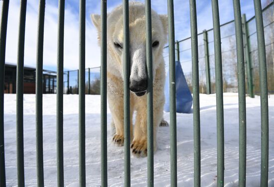 Moscow Zoo holds visiting tour