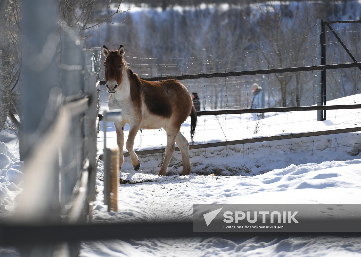 Moscow Zoo holds visiting tour