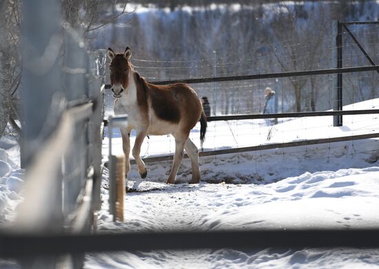 Moscow Zoo holds visiting tour
