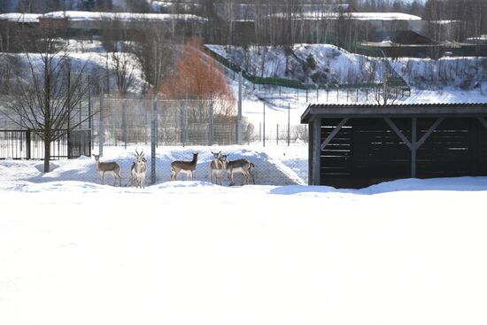 Moscow Zoo holds visiting tour