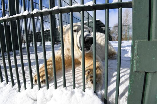 Moscow Zoo holds visiting tour