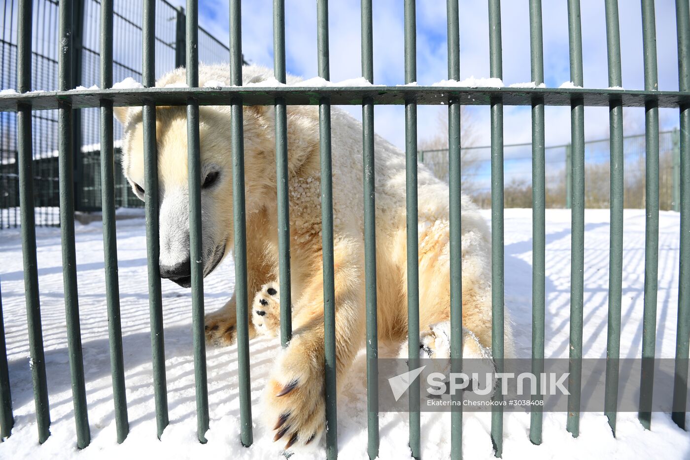 Moscow Zoo holds visiting tour