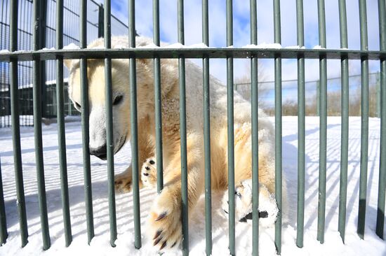 Moscow Zoo holds visiting tour