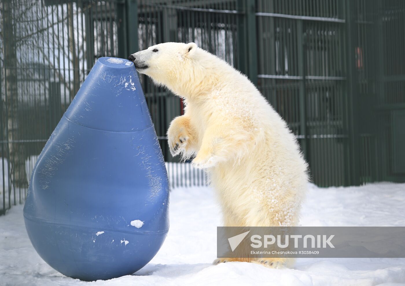 Moscow Zoo holds visiting tour