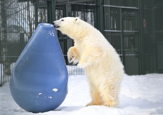 Moscow Zoo holds visiting tour