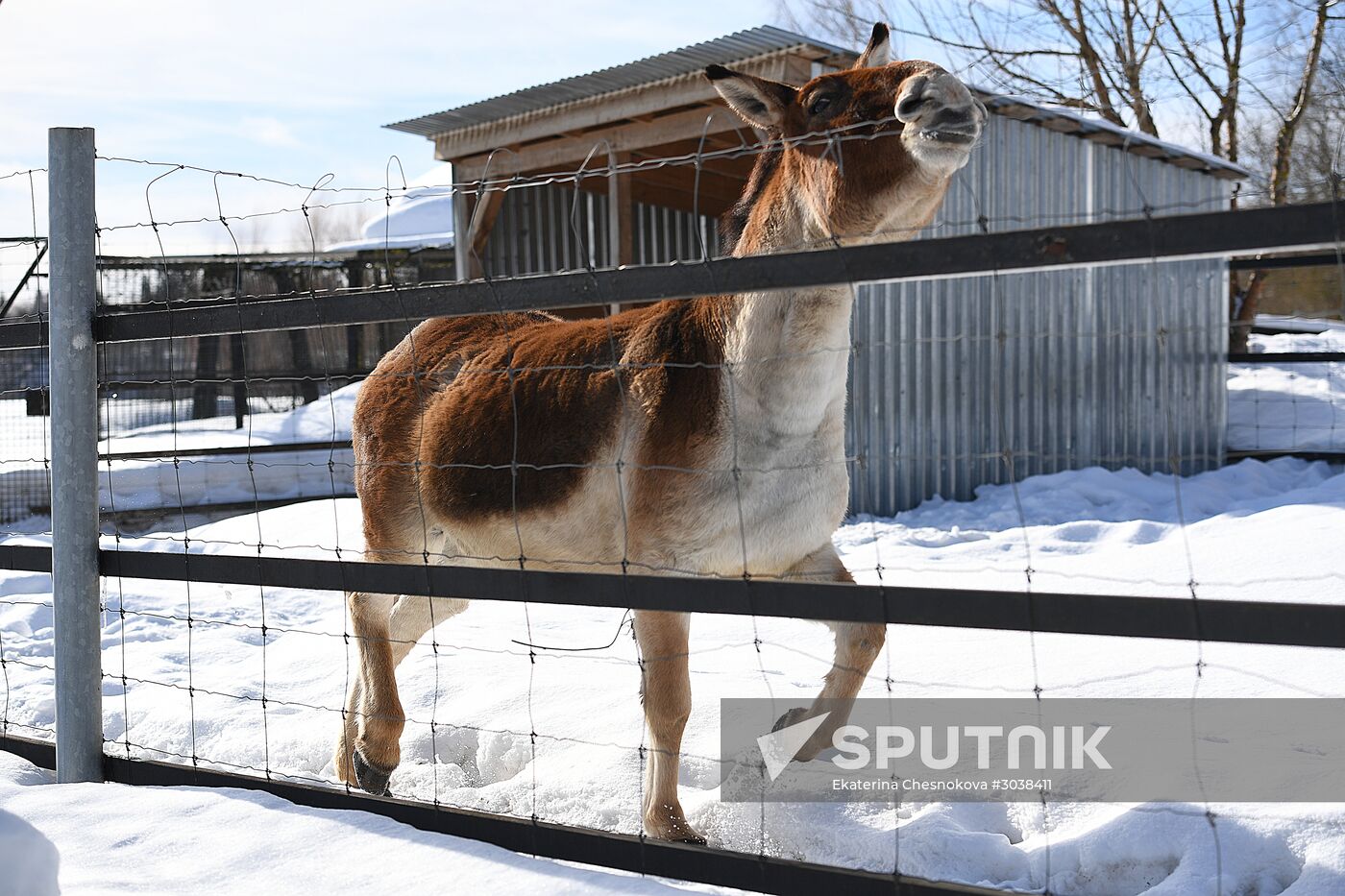 Moscow Zoo holds visiting tour