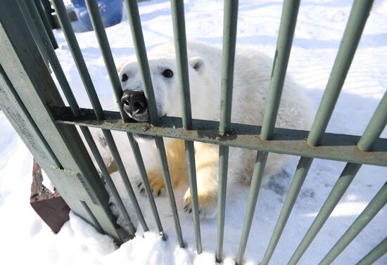 Moscow Zoo holds visiting tour