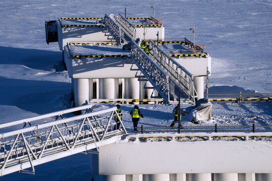 Building liquefied natural gas plant Yamal LNG