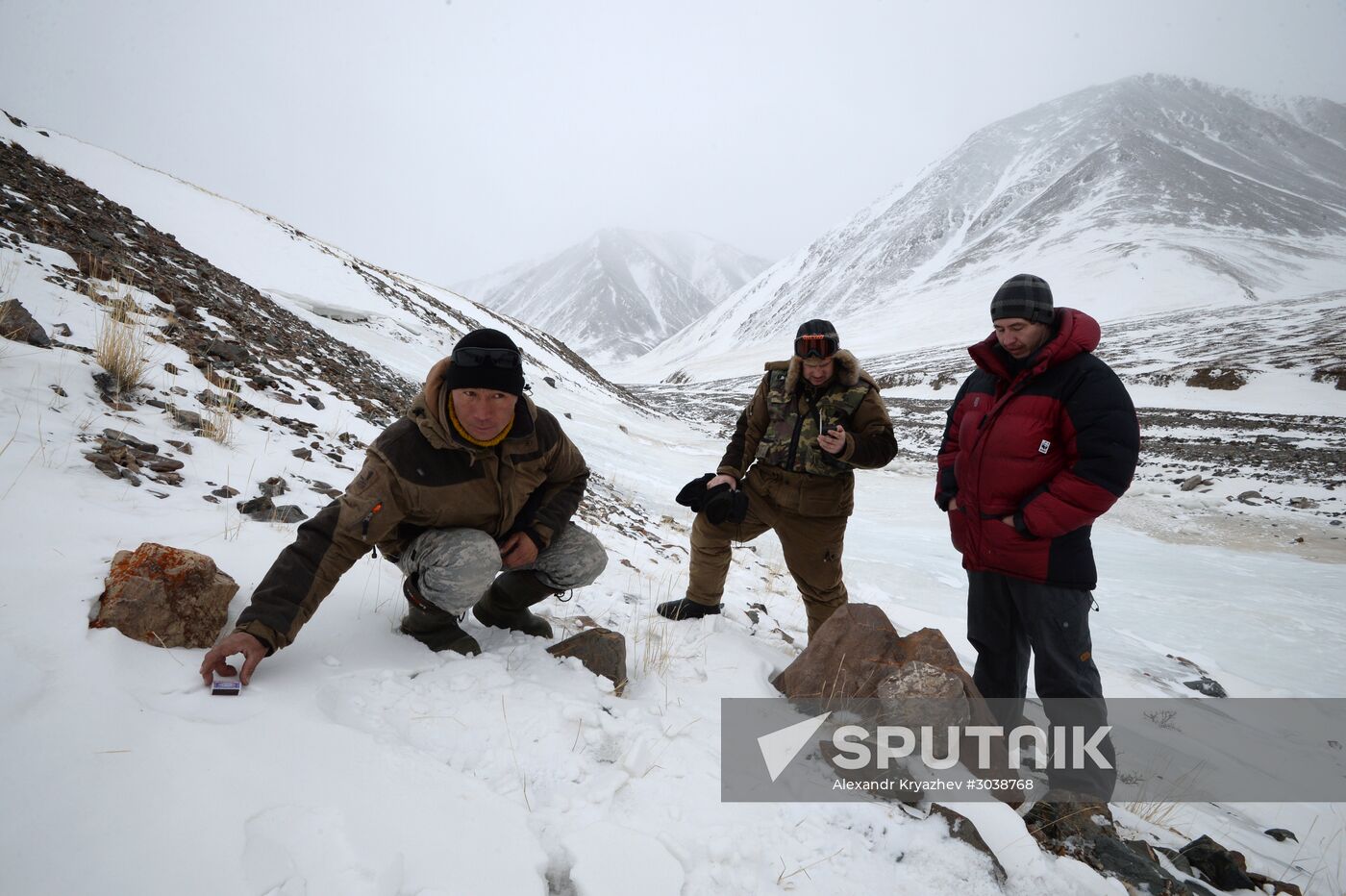 First total snow leopard count in Russia