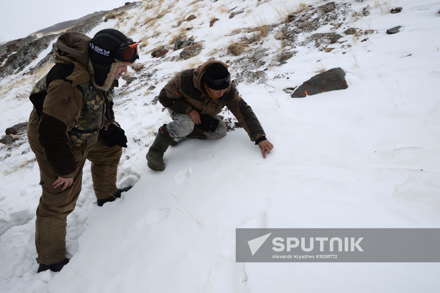 First total snow leopard count in Russia