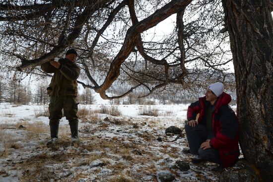 First total snow leopard count in Russia