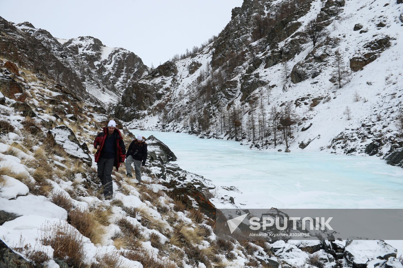 First total snow leopard count in Russia