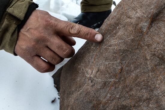First total snow leopard count in Russia