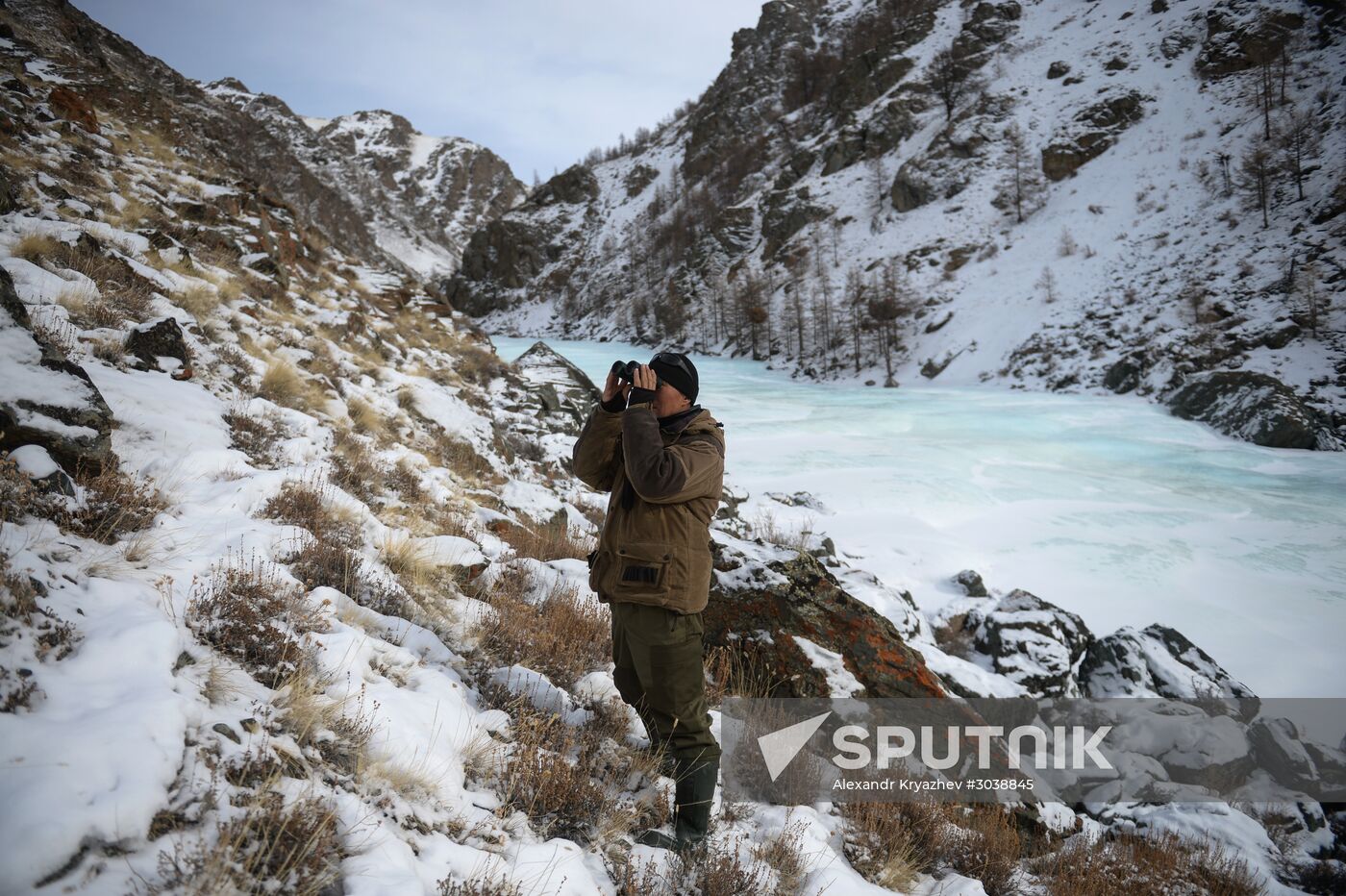 First total snow leopard count in Russia