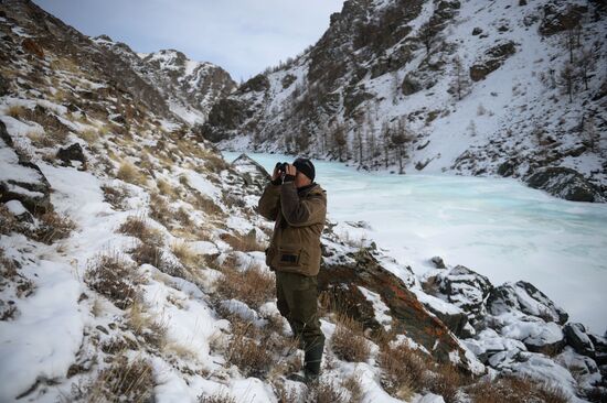 First total snow leopard count in Russia