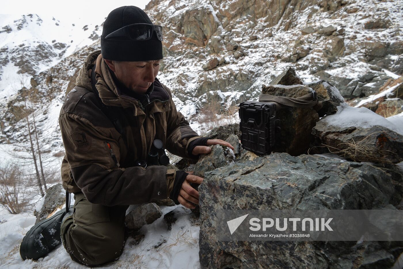 First total snow leopard count in Russia