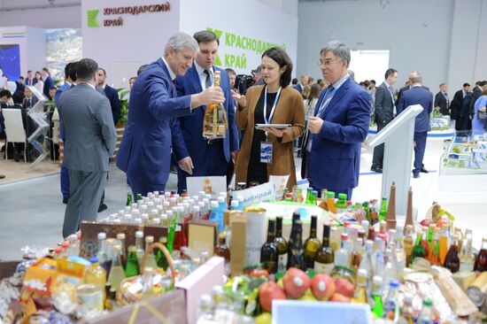 Russian Investment Forum in Sochi. Day 1